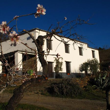 Casa Rural El Paraje De Berchules Ngoại thất bức ảnh