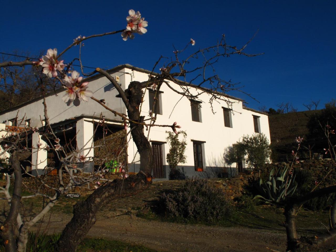 Casa Rural El Paraje De Berchules Ngoại thất bức ảnh